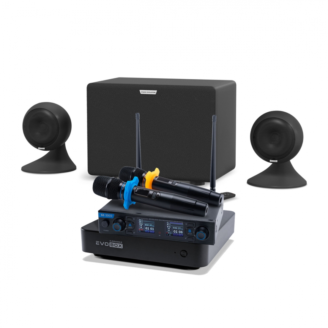 караоке-комплект EVOBOX + EvoSound Sphere 2.1 в Сахалинской области