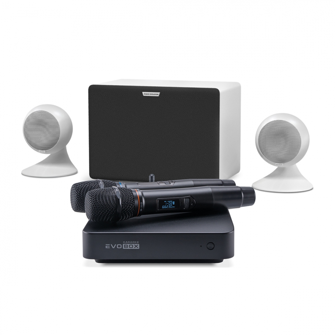 караоке-комплект EVOBOX Classic + EvoSound Sphere 2.1 в Сахалинской области