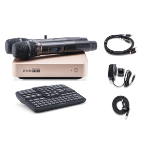 EVOBOX Classic караоке-система для дома в Сахалинской области