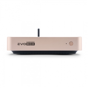 EVOBOX Plus караоке-система для дома в Сахалинской области