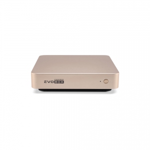EVOBOX с микрофонами в Сахалинской области