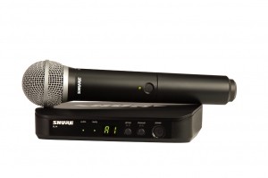 SHURE BLX24E/PG58 M17 вокальная радиосистема в Сахалинской области